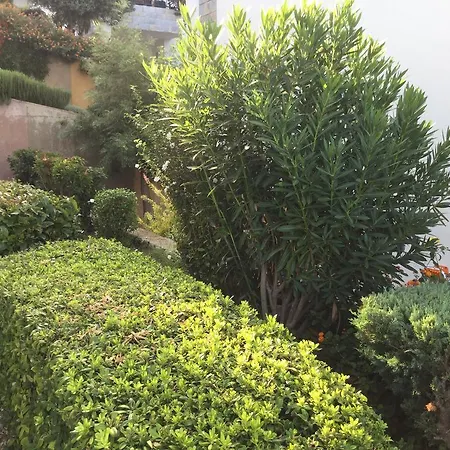 Appartement Sunset Beach House Yalıkavak
